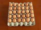 Automatische Ei-Tray Making Paper Pulp Molding-Verpackung- der Eierbehälter-Fertigungsstraße mit Stall des Ertrag-700pcs/h laufend