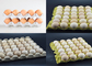 Umweltfreundliche halb automatische Ei-Tray Machine Egg Tray Making-Maschine