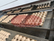 Trockene Frucht Tray Egg Tray Equipment Hersteller-Disposable Paper Moldeds