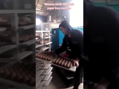 Art Papierei Tray Making Machine, Ei Tray Production Line austauschen