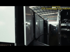 380 V/220 V/kundenspezifische Eierablage-Herstellungsmaschine mit hin- und hergehender und rotierender Formung, 1 Jahr Garantie