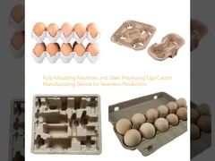 Zellstoffformmaschinen und Stahlverarbeitungsmaschinen für die Herstellung von Eierkartons für die nahtlose Produktion