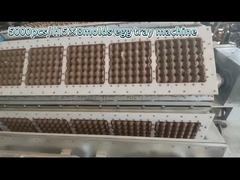 Ei Tray Production Line