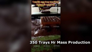 Eierablagemaschine 3000 Stück Std. Massenproduktion