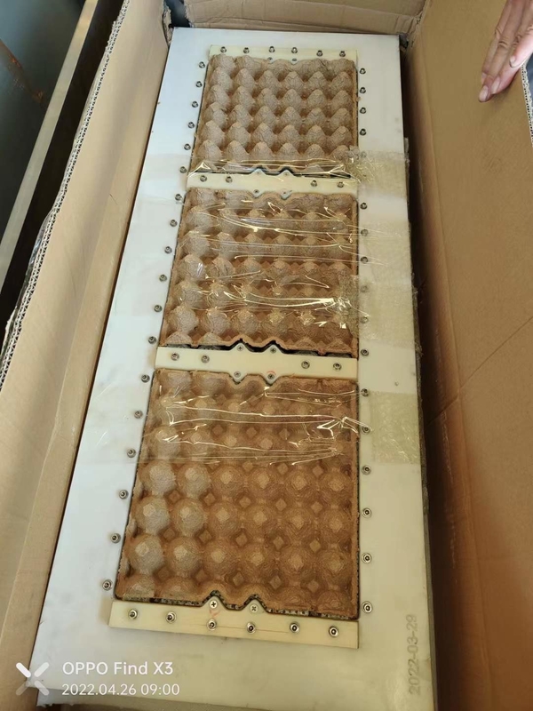 Vollautomatische Produktionslinie für Eierkartons mit großer Kapazität