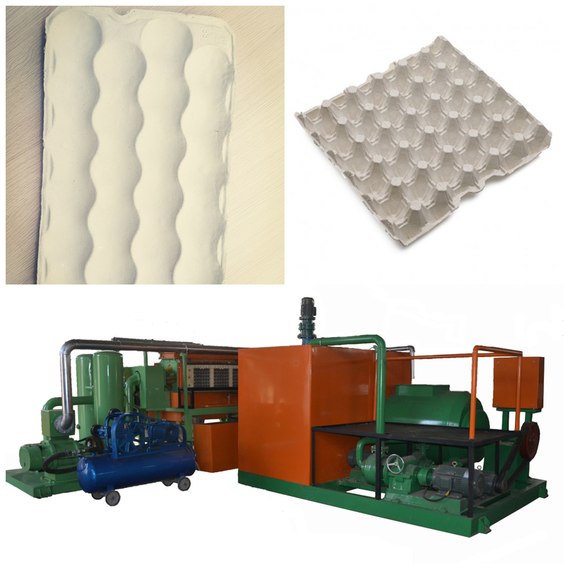 Steigern Sie Ihre Produktionskapazität mit unserer hochmodernen Eiertray-Produktionslinie aus Papierpulpe-Formmaschine