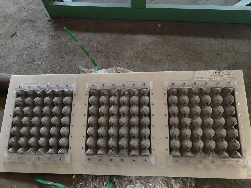 Customized 30-Loch-Zellstoff-Form-Eier-Tray-Maschine mit Aluminium-Form für kleine Kapazität Lebensmittel-Getränke