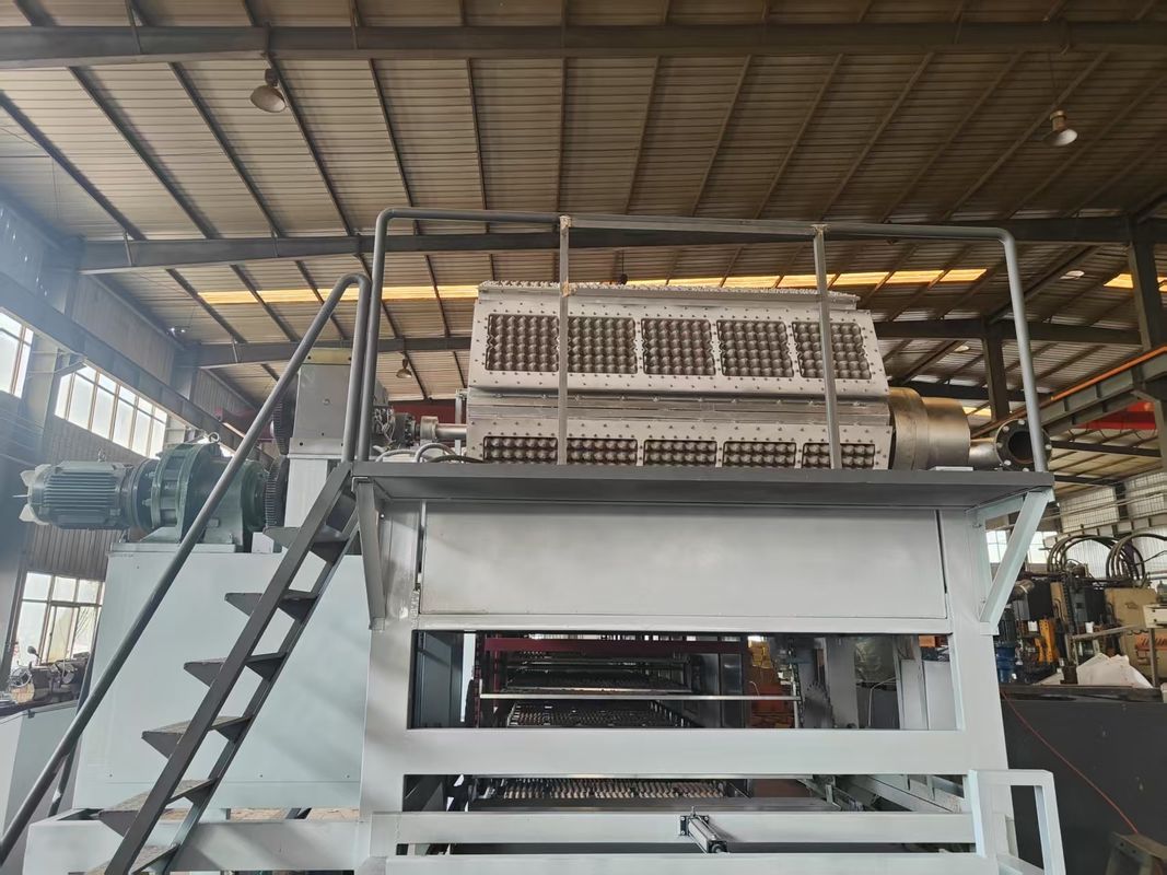 WANYOU Professionelle vollautomatische Zellstoffform-Eierkartonmaschine SPS-gesteuertes Heißpressen 380V 25-50KW 5000 Stück/h