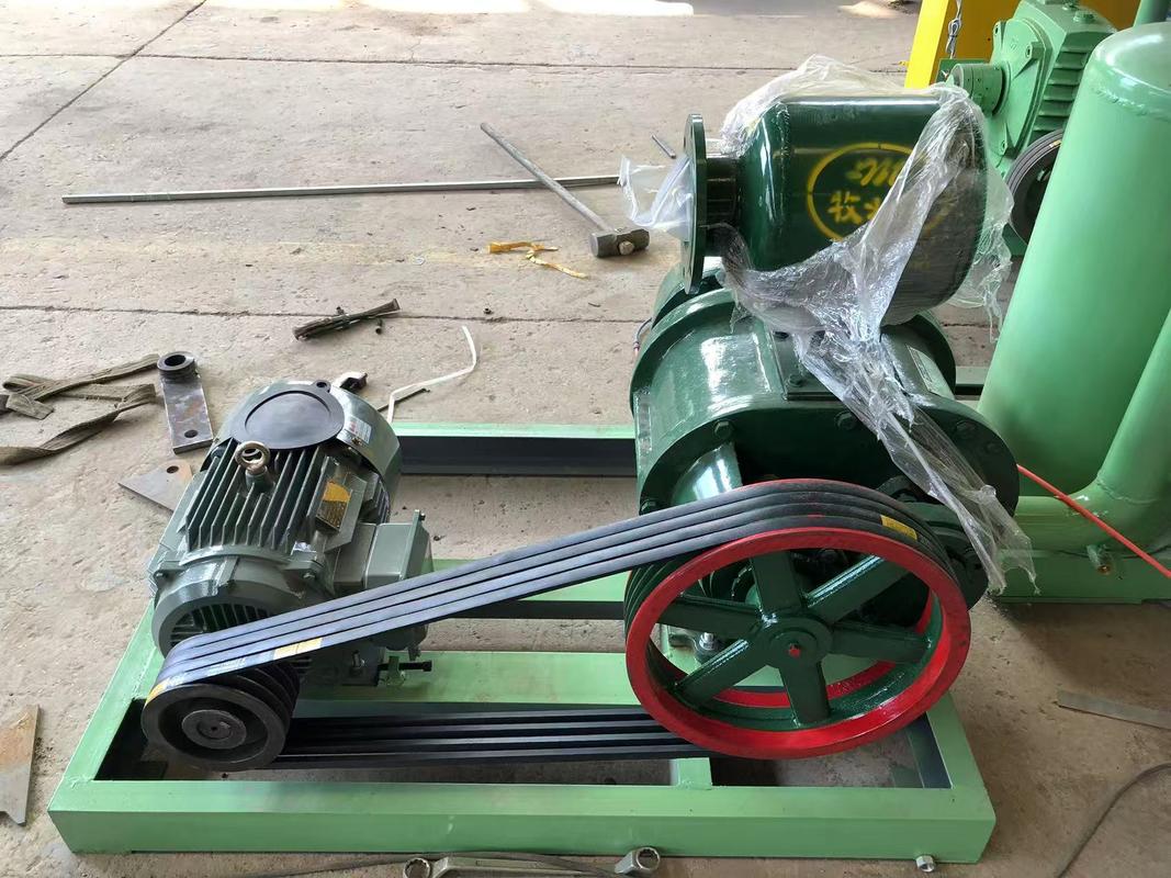 1000 Stück/h Halbautomatische Eier-Tray-Maschine / Apple Tray-Making-Maschine Einfache Struktur Geschwindigkeit verstellbar PLC-gesteuert