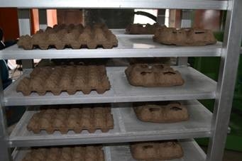 Recyclingpapier-Massen-Formteil-Maschine für die Eierablage-/Frucht-Behälter-/Flaschen-Behälter-Herstellung