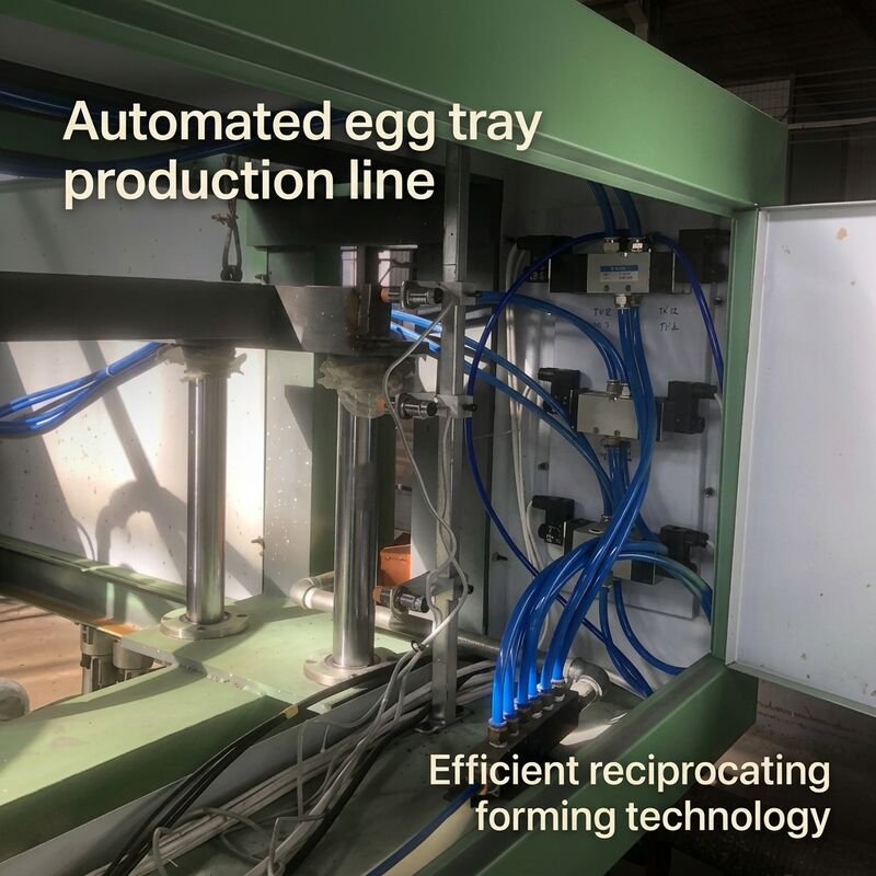 Automatic 40kw Small1000pcs Per Hour Paper Egg Tray Machine EggTray Production Line For Making Egg Trays Egg Cartons Shoes Trays Apple Trays PLC Controlled