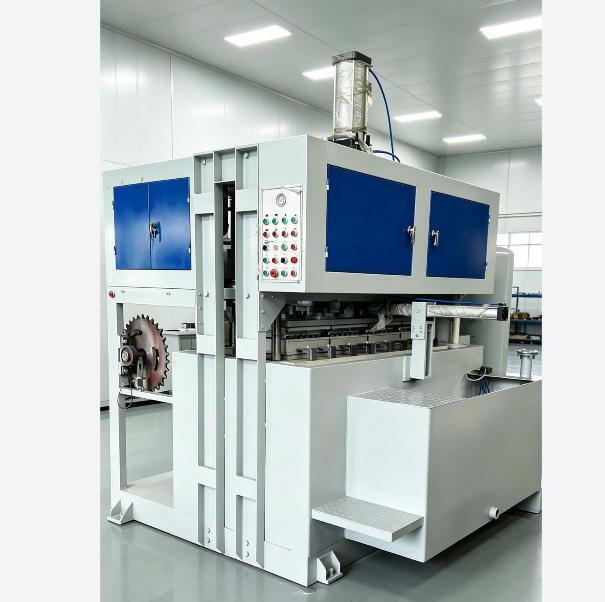 PLC-gesteuerte 1300-1500 Stück pro Stunde Eierfachmaschine Eierkartonmaschine zum Herstellen von Eierfachmaschinen Eierkartons Schuhfachmaschinen Kinderfachfachmaschinen für kleine Unternehmen Idee Aluminium Formen
