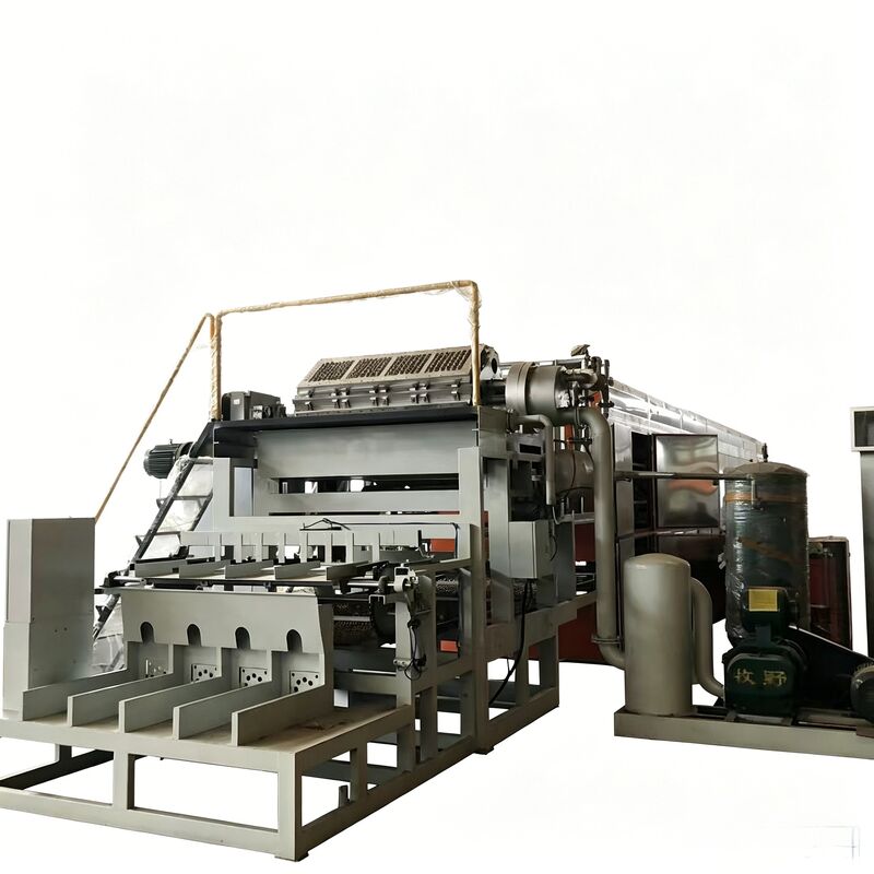 WANYOU WY-F2 Rotations-Eierfachmaschine mit einer Kapazität von 2500-3000 Stück/h mit recyceltem Papierzellstoff und automatischer Steuerung durch PLC