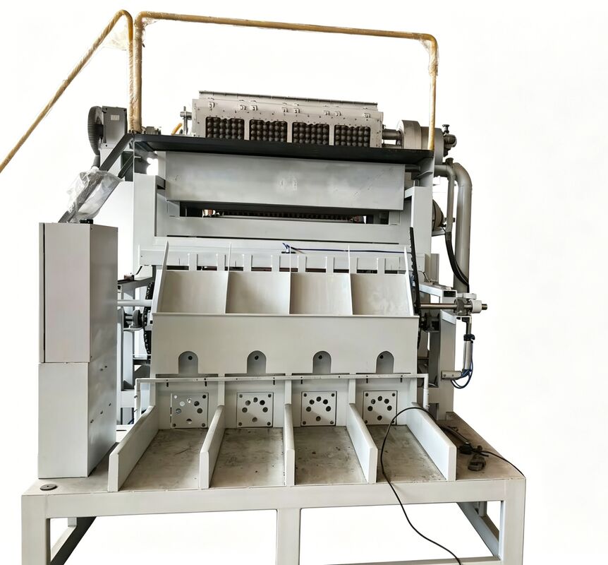 WANYOU WY-F2 Rotations-Eierfachmaschine mit einer Kapazität von 2500-3000 Stück/h mit recyceltem Papierzellstoff und automatischer Steuerung durch PLC
