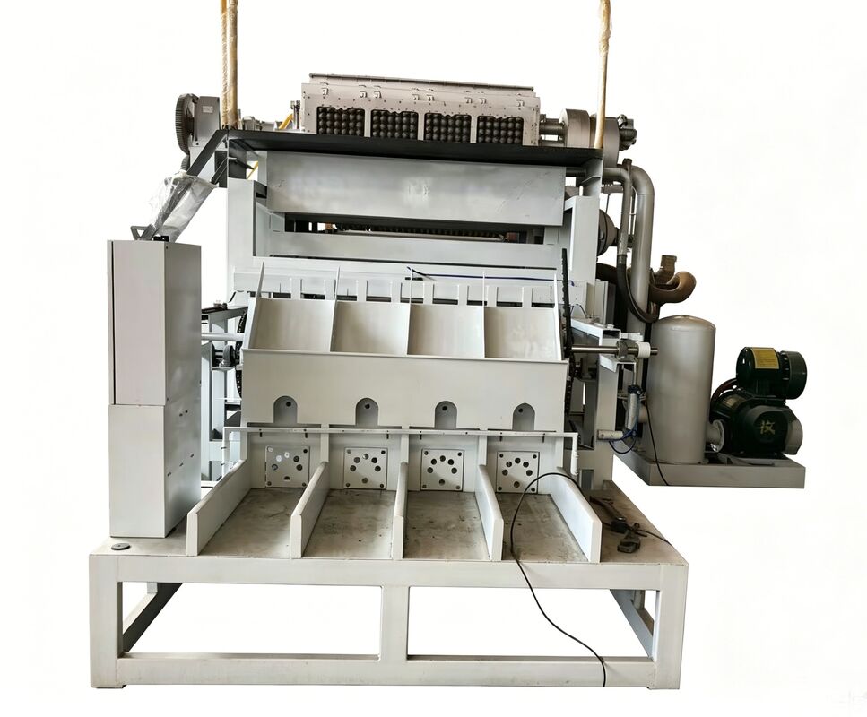 WANYOU WY-F2 Rotations-Eierfachmaschine mit einer Kapazität von 2500-3000 Stück/h mit recyceltem Papierzellstoff und automatischer Steuerung durch PLC