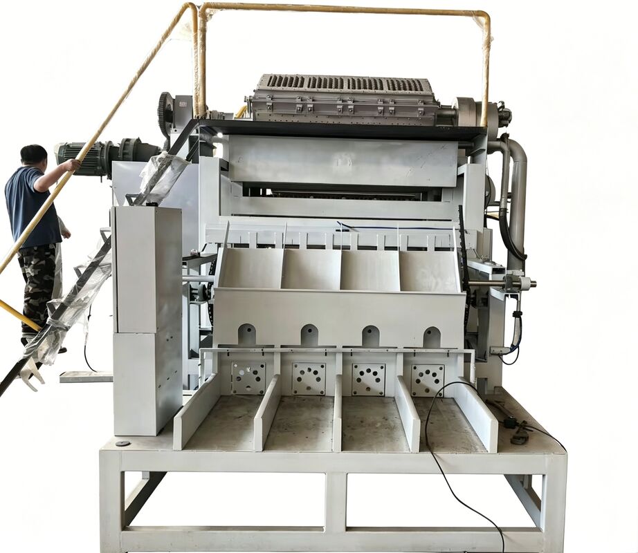 WANYOU WY-F2 Rotations-Eierfachmaschine mit einer Kapazität von 2500-3000 Stück/h mit recyceltem Papierzellstoff und automatischer Steuerung durch PLC