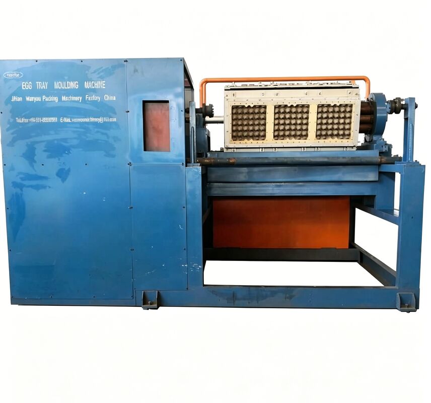 WANYOU WY-4 Rotary Egg Tray Forming Machine 2000-3000 pcs/h Recycled Paper Pulp Molding for Albanian Poultry Farm