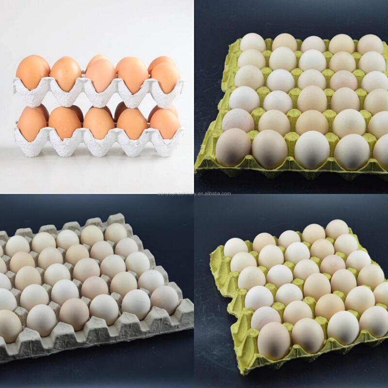 40KW Recycled Paper Egg Tray Machine Pulp Molding Machine Processing Type PLC Controlled