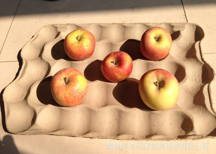 Papierfrucht-Apfel-Tablett-Herstellungsmaschine, Eiertablettmaschine, Eierkarton-Herstellungsmaschine, Zellstoffformmaschine mit lebenslanger Wartung