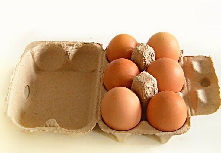 Papierfrucht-Apfel-Tablett-Herstellungsmaschine, Eiertablettmaschine, Eierkarton-Herstellungsmaschine, Zellstoffformmaschine mit lebenslanger Wartung