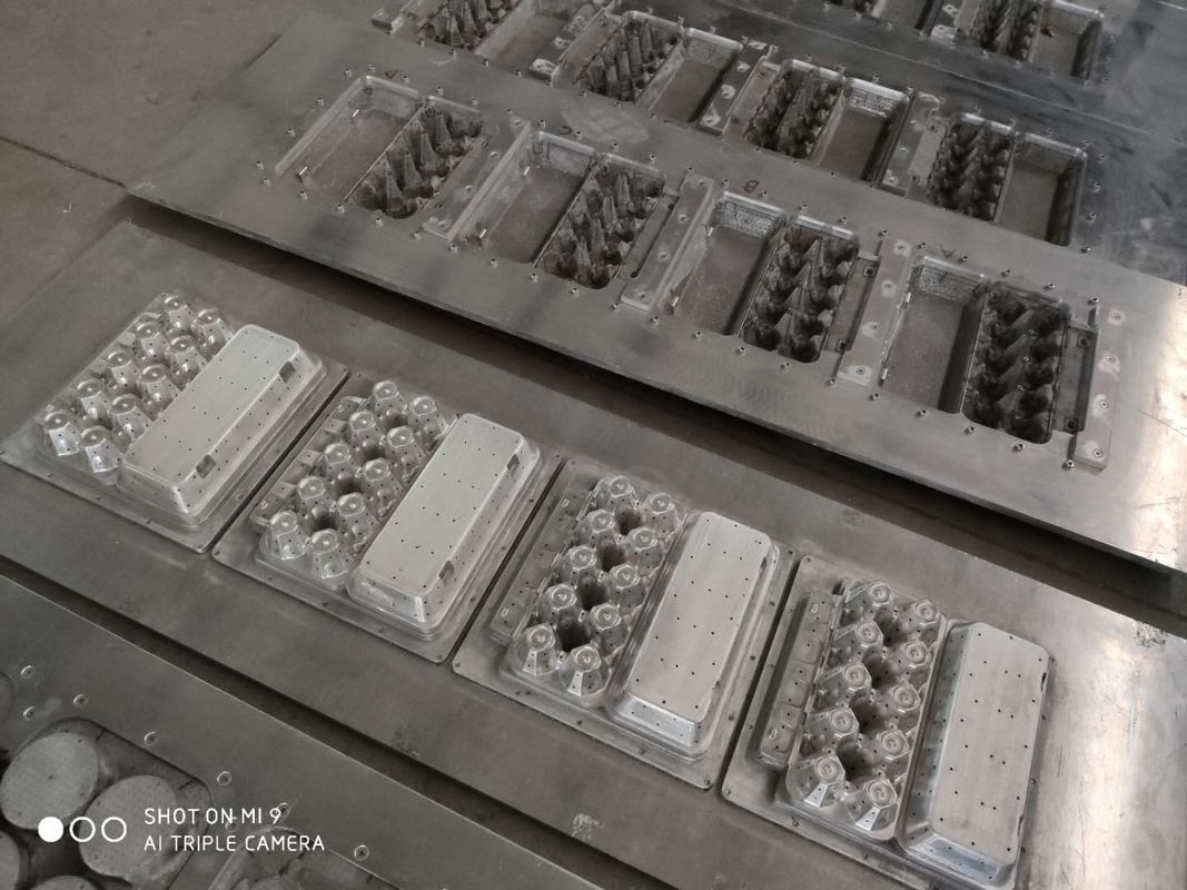 Papierhohlraum-Massen-Form der Eierablage-Maschinen-20 für geformte Massen-Produkte