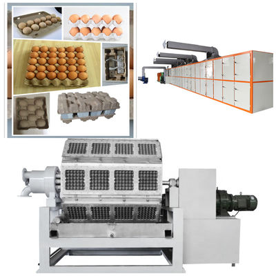 Verschiedene Modell Papiereierbehälter-Maschine Papierpulpe-Formmaschine Kundenspezifische Formen