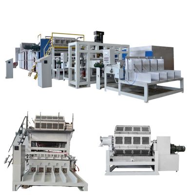 Neue Großhandels-WANYOU Automatische Recycling-Papiereierbehälter-Maschine Zellstoffformmaschine SPS-Steuerung Touchscreen-Panel Lager Motor Getriebe
