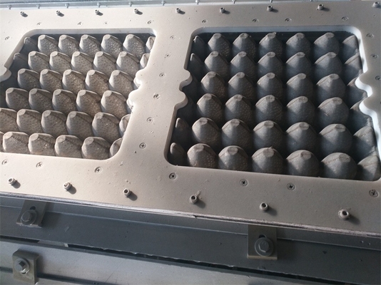 Kundengebundenes Aluminium, das Formen für Eierablage-/Kartoniermaschine bildet