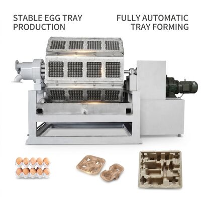 Maschine zur Herstellung von Eier-Treys mit einer Leistung von 10.000 Stück/h, automatischem Stapelsystem und Recyclingpapierinput für eine effiziente Herstellung von Papierpulp-Treys