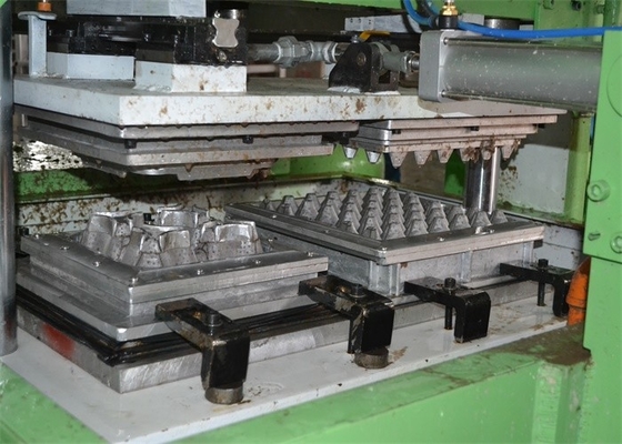 2500pcs/h automatisches Papierei Tray Molding Machine With Egg Tray Dryer
