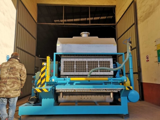 Drehformungseierablage-Maschine, Eierkarton, der Maschine lange Nutzungsdauer macht