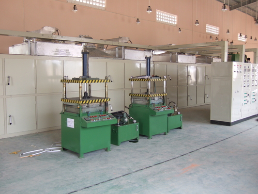 Art 30 Kasten-Ei Tray Production Line Fully Automatic austauschen