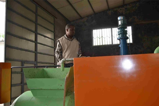 Recyclebarer Altpapier-kleiner Ei-Tray Making Machine For Chicken-Bauernhof