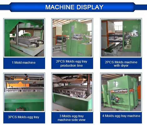 Ei Tray Mould Pulp Tray Machine mit Plc-Kabinett 2 Jahre Garantie-
